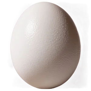 White Egg Stock Image Png 06292024 PNG Image