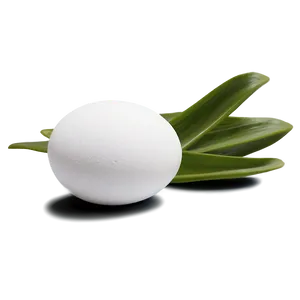 White Egg Stock Image Png Qtr73 PNG Image