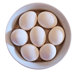 White Eggsin Bowl PNG image with transparent background