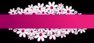 White Floral Bannerwith Pink Stripe PNG image with transparent background
