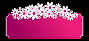 White Floral Borderon Pink Background PNG image with transparent background