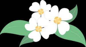 White Floral Vector Illustration PNG image with transparent background