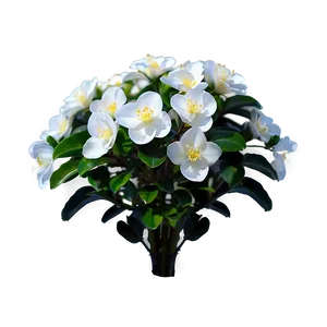 White Flower Bush Png 06122024 PNG Image