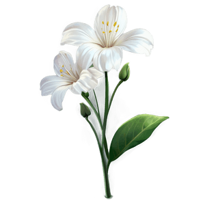 White Flower PNG sim42 PNG image with transparent background