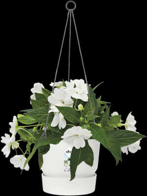 Elho Hanging Basket Greenville 24 Cm, Clinker Red, HD Png Download PNG image with transparent background