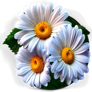 White Flowers Icon Png Nkw81 PNG Image