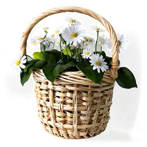 White Flowers In Basket Png 05242024 PNG Image