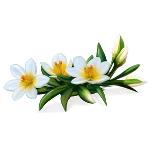 White Flowers In Soft Focus Png 05242024 PNG Image