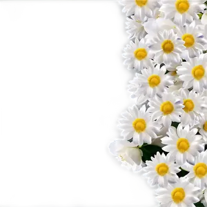 White Flowers Petals Png 98 PNG Image