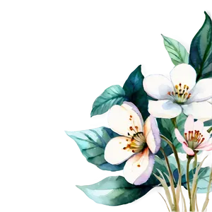 White Flowers Watercolor Png 05242024 PNG Image