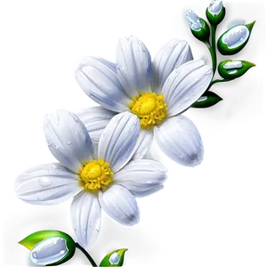 White Flowers With Dew Drops Png Blx27 PNG Image