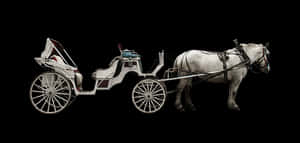 White Horse Drawn Carriage Black Background PNG image with transparent background