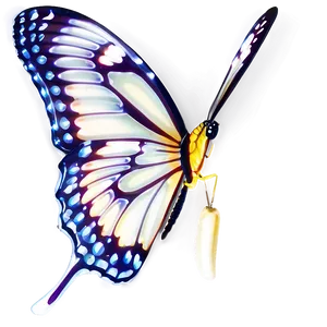 White Light Butterfly Png 33 PNG Image