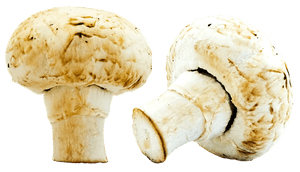White Mushrooms Isolated Background PNG image with transparent background