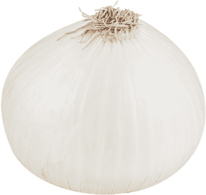 White Onion Png File - White Onion, Transparent Png PNG image with transparent background
