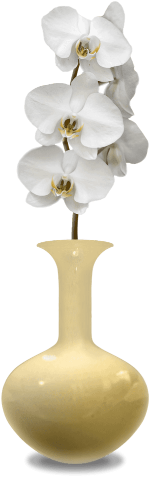 Transparent Flower In Vase Png, Png Download PNG with transparent background