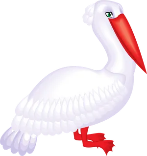 White Pelican Illustration PNG Image