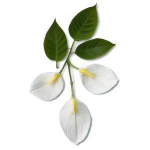 White Petals Png Gnh1 PNG Image