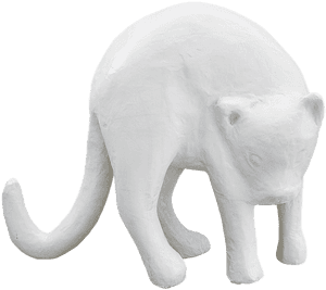 Png Cat Plaster Free Photo - Indian Elephant, Transparent Png PNG image with transparent background