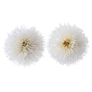 White Pom Poms Png Fdq25 PNG Image