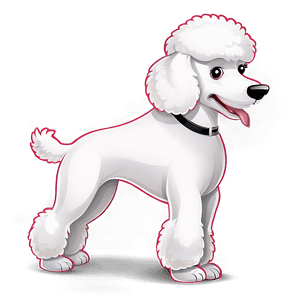 White Poodle Cartoon PNG 06112024 PNG image with transparent background