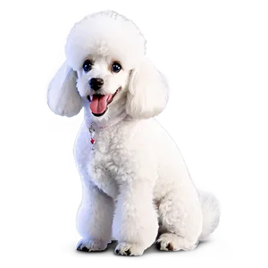 White Poodle Cartoon Png Ahl27 PNG Image