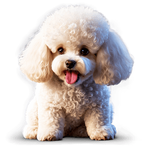White Poodle Cartoon PNG pmd2 PNG image with transparent background