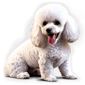 White Poodle Cartoon PNG upi PNG image with transparent background