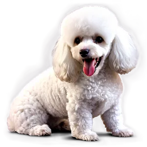 White Poodle Cartoon Png Upi PNG Image