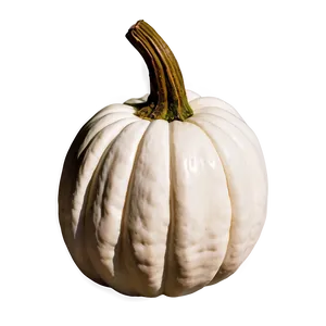 White Pumpkin Craft Png Bfn PNG Image