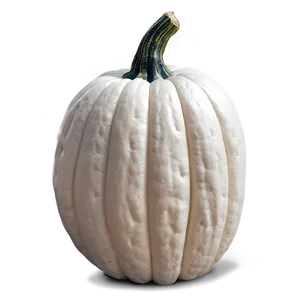 White Pumpkin Craft Png Nrc PNG Image