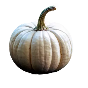 White Pumpkin Drawing Png 06212024 PNG Image