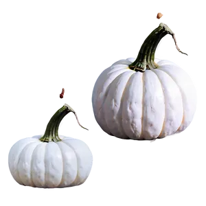 White Pumpkin Drawing Png 06212024 PNG Image