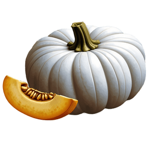 White Pumpkin Illustration PNG mwh43 PNG