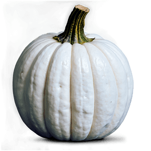 White Pumpkin PNG 3 PNG