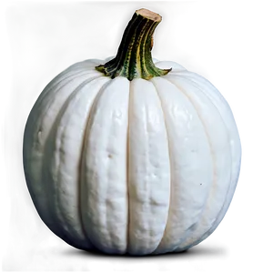 White Pumpkin Png 3 PNG Image