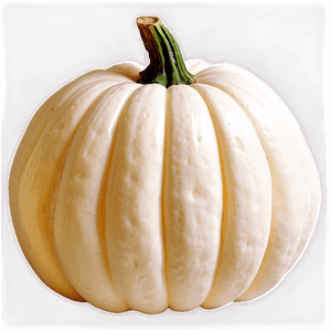 White Pumpkin PNG 69 PNG