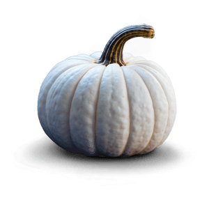 White Pumpkin PNG rlu82 PNG