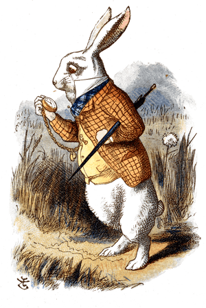 White Rabbit Alice In Wonderland Book, HD Png Download PNG with transparent background