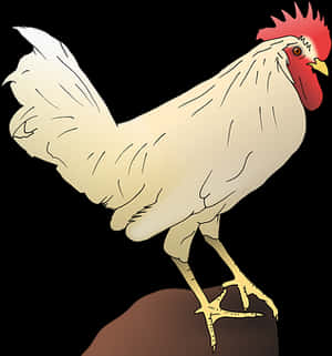White Rooster Illustration PNG image with transparent background