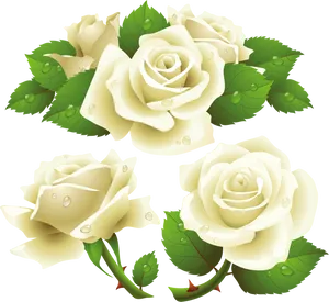 White Roses Vector Illustration PNG Image