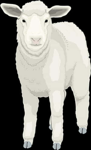 White Sheep Illustration PNG with transparent background