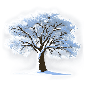 White Snow Tree PNG xhe97 PNG