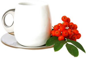 Coffee Cup Transparent Images, Green Tea Png Images - Coffee Cup, Png Download PNG image with transparent background