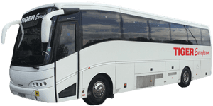 White Tiger European Tour Bus PNG image with transparent background