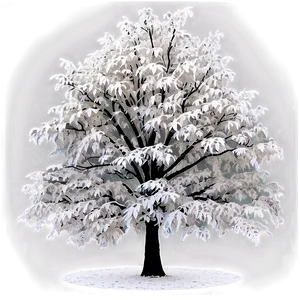 White Tree In Urban Setting Png 06252024 PNG Image