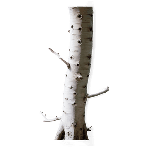 White Trunk PNG jhc PNG with transparent background