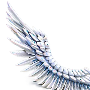 White Wings C PNG Image