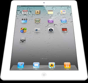 Whitei Pad Portrait Water Droplets Background PNG image with transparent background