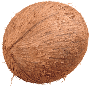 Clipart Transparent Background Coconut, HD Png Download PNG with transparent background